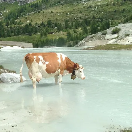 Residences Kandahar דירה